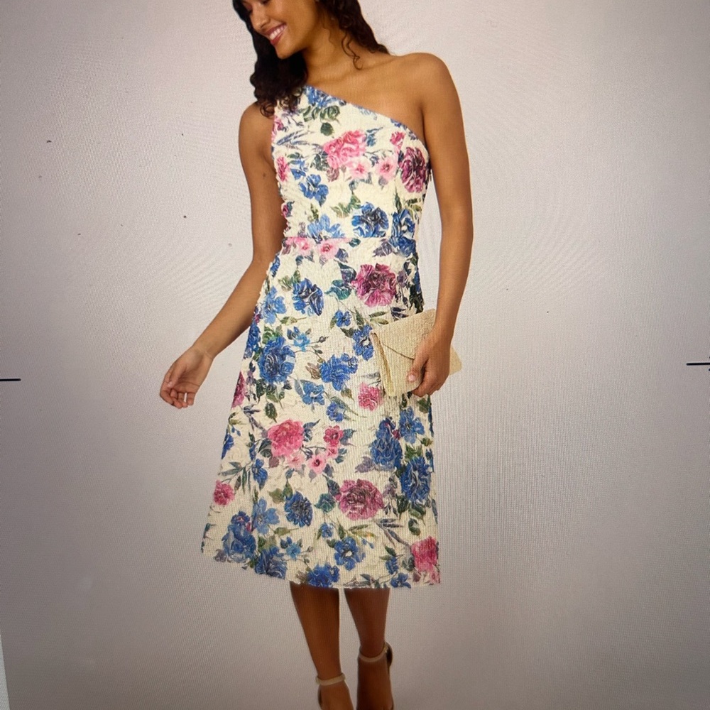 Adrianna Papell Blue and Pink Asymmetrical A-line Sundress

Nwt